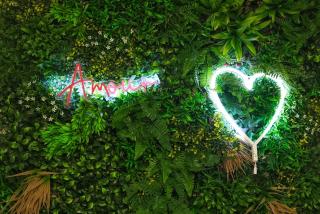 Maison centro storico - 2