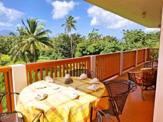 Mountain View Perch - 8