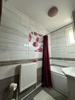 Apartament de închiriat - Borsec - 3