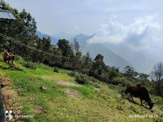 Dostel Vattakanal - Kodaikanal - 3