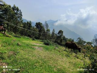 Dostel Vattakanal - Kodaikanal - 1