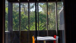 Eco-lodges Lacanau Moutchic Inn - 4 pers - Lacanau - 1