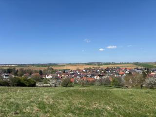 Hotel Sonne - Sinsheim - 3