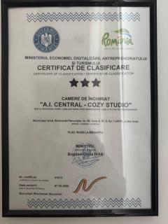 Central - Cozy Studio - Arad - 3