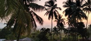 Anandvan - Nagaon - 4