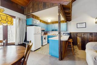 Unit 1 - Retro Ski Chalet - 1