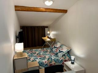Magnifique appartement - Le Puy-en-Velay - 5