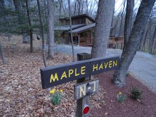Ma-ple Haven --Wifi, Fireplace, Deck, Fire Pit, Family Friendly, Game Room, Pool Access - Berkeley Springs - 8
