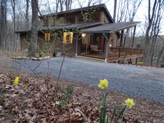 Ma-ple Haven --Wifi, Fireplace, Deck, Fire Pit, Family Friendly, Game Room, Pool Access - Berkeley Springs - 9
