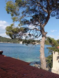 Studio apartment Dragana - Sobra - 7