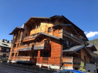 Bel appartement moderne, 2 chambres, au centre de Morzine, proche des pistes, parking et wifi - FR-1-754-87 - Morzine - 9