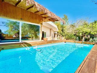 Villa Sophia Central with private plunge pool by DadoVillas - Dassia - 9