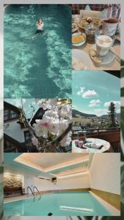 B&B Apart Hotel Goldener Hahn - nahe an Gartenschau Tal X - Baiersbronn - 6