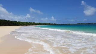 Le Pilibo, quiet, pool, beach 5 min walk - Sainte-Anne - 3