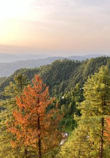 Serenity Hilltop Homes Apartment - Murree - 7