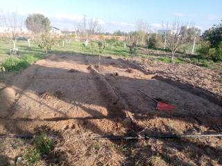 My small farm 20 minutes from Kénitra Behind Kénitra Atlantic Free Zone - 6