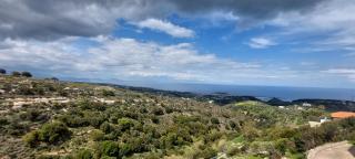 Patriko Estate - Anóyia - 8