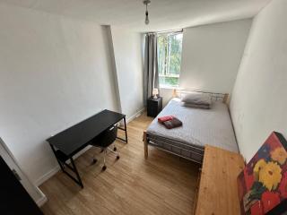 Cozy Rooms in East London - Londra - 9