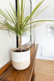 The Loft Apartment - Shoreham-by-Sea - 2