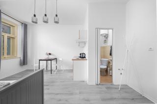Cozy studio near city - Prague - 9