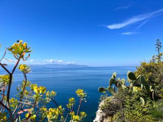 Agaphouse Mylae - Milazzo - 2
