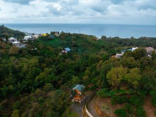 GoldenSeaView TreeHouse - Tsikhisdziri - 5