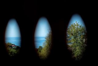GoldenSeaView TreeHouse - Tsikhisdziri - 4