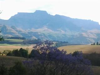 Annasrus Mountain Cottage - Champagne Valley - 0