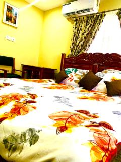 Hemang Villa - - 2