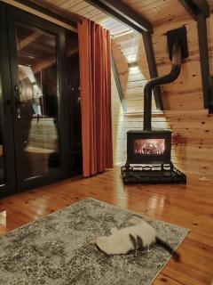 İRDEN BUNGALOV - Ardeşen - 5