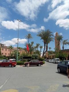 marrakech tourist - Marrakesh - 7