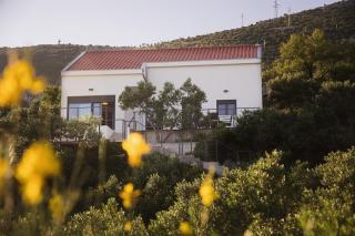 Casa Collina - Kaštela - 6