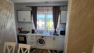 Aly Apartaments Suceava - Sfîntu Ilie - 7