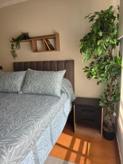 Providencia Habitacion matrimonial baño privado a pasos barrio Bellavista WIFI Parcking Gratis - Santiago - 1