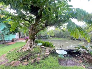 Villa THỦY NGUYÊN - Bình Thủy - 5