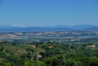 La Corte Medicea - Montepulciano - 0