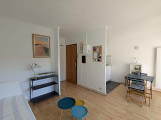 Studio charmant et lumineux avec balcon à Arcachon - Proche plage et commerces - FR-1-420-97 - Arcachon - 9