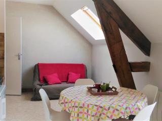 Chambre d'hôtes avec petit-déjeuner inclus à Gidy - FR-1-590-452 - 6