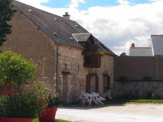 Chambre d'hôtes avec salle d'eau privative à Gidy - FR-1-590-491 - Gidy - 5