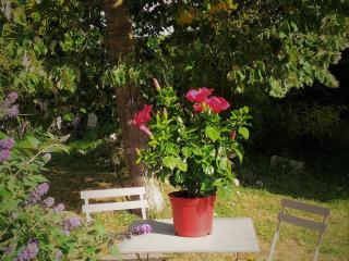Chambre d'hôtes avec salle d'eau privative à Gidy - FR-1-590-491 - Gidy - 2