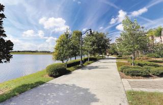 King-size Bed by Convention Center, Universal & Disney - Orlando - 2