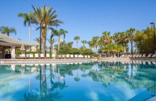 King-size Bed by Convention Center, Universal & Disney - Orlando - 7