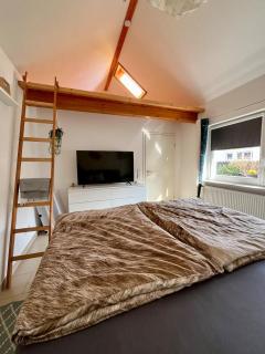 TinyHouse Pfalzperle Auszeit nahe Deutsche Weinstraße & Therme - 2