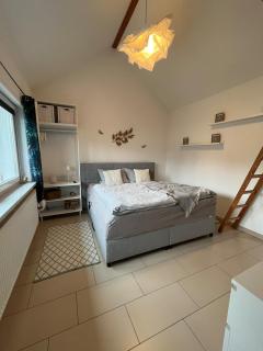 TinyHouse PFALZperle Region Deutsche Weinstraße - Ellerstadt - 1