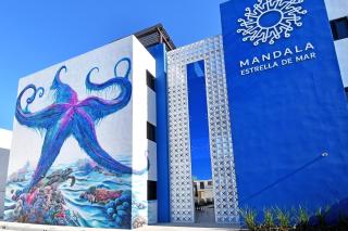 Mandala Estrella de Mar - La Paz - 5