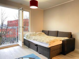 Refurbished and spacious 1 bedroom apartment - Oslo - 7