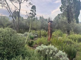 Baerami Pines Retreat - - 3