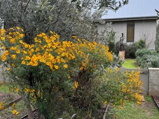 Baerami Pines Retreat - - 2