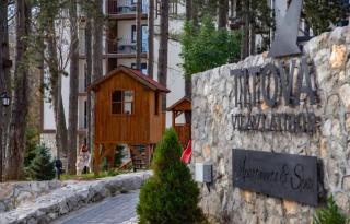 Apartman SAN Titova vila - Zlatibor - 3