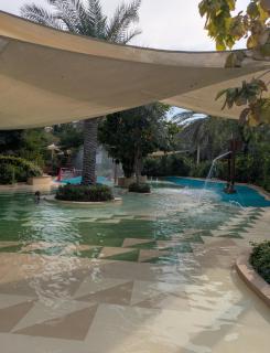 Stylish Urban-Jungle-Studio in Al Barari, Dubai - 3